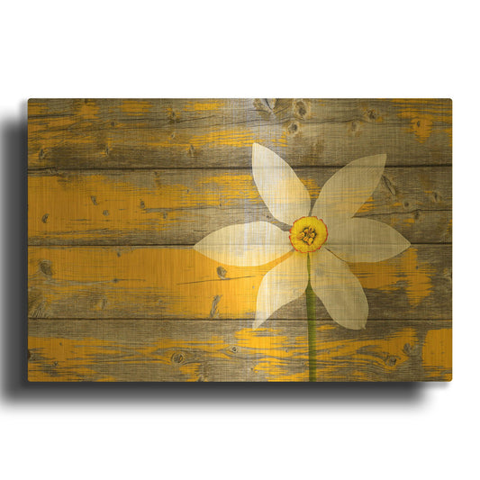 'A Rustic Paradise yellow flower' By Bess Hamiti Gold Metal Wall Art