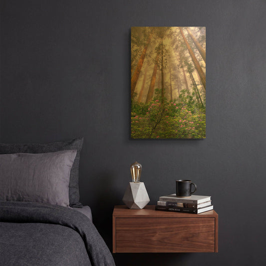 'Look Up' By Dennis Frates Gold Metal Wall Art
