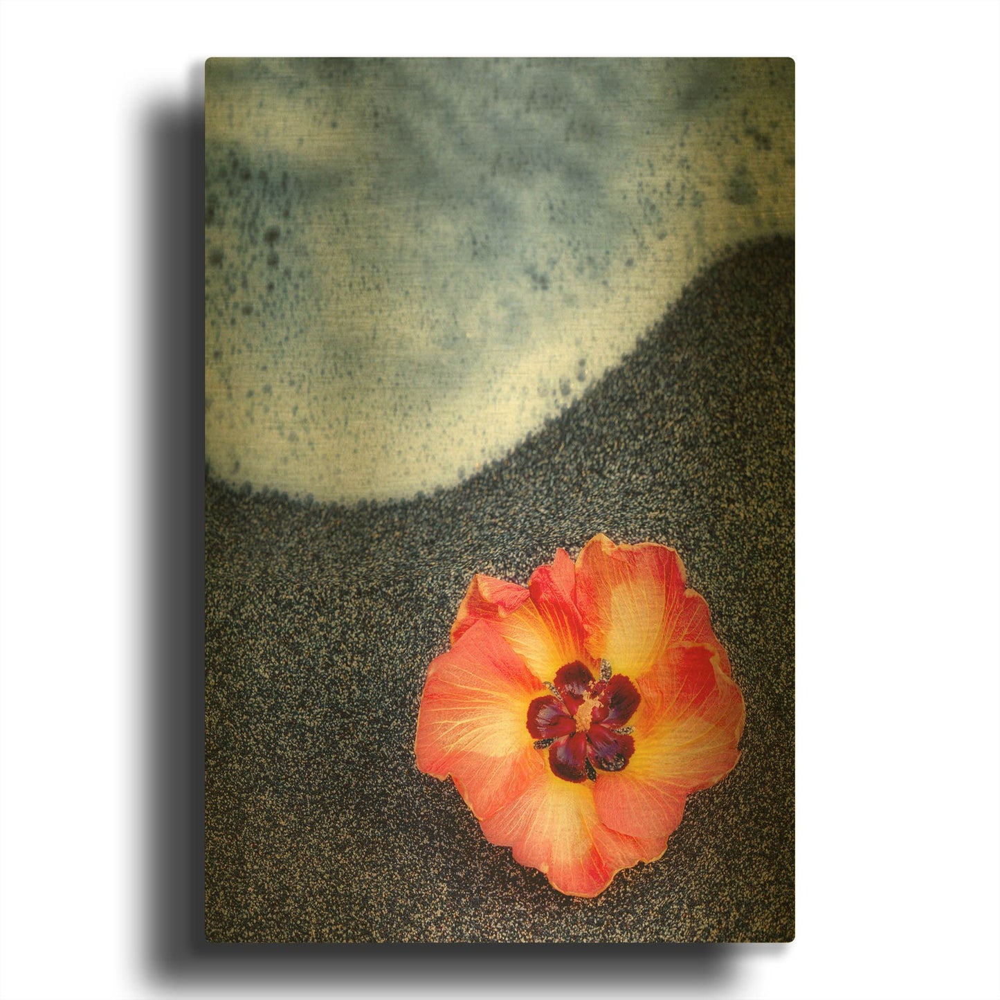 'Beach Floral' By Dennis Frates Gold Metal Wall Art