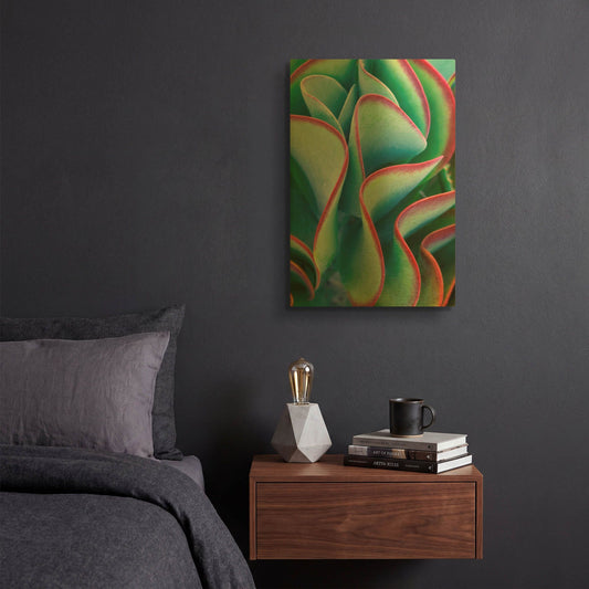 'Succulent VII' By Dennis Frates Gold Metal Wall Art