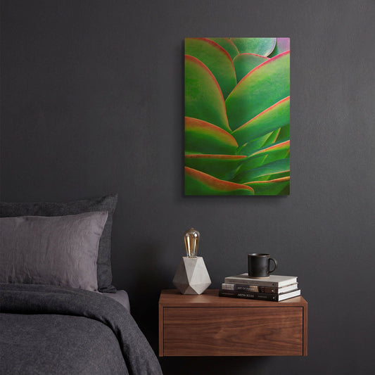 'Succulent VIII' By Dennis Frates Gold Metal Wall Art