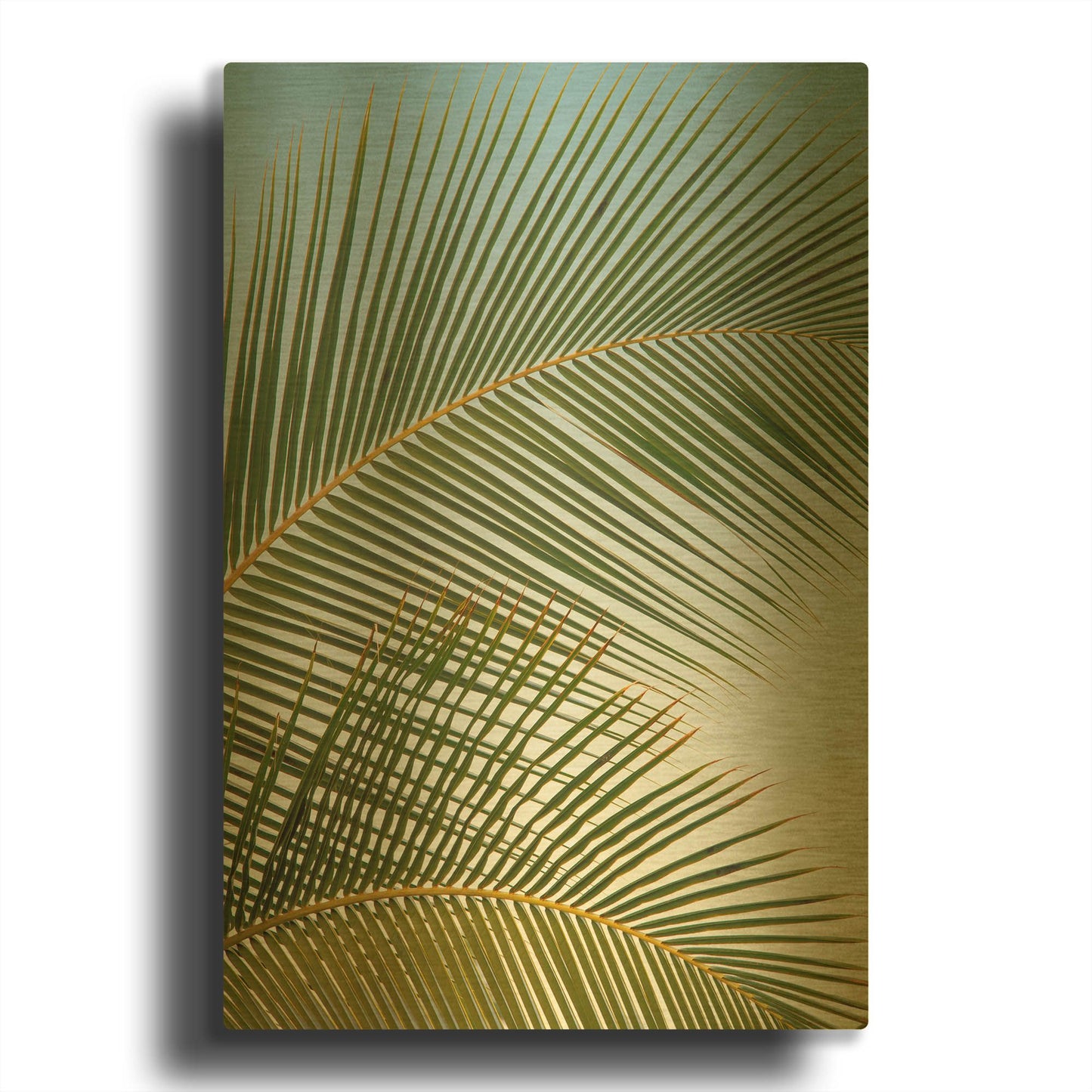 'Tropical II' By Dennis Frates Gold Metal Wall Art