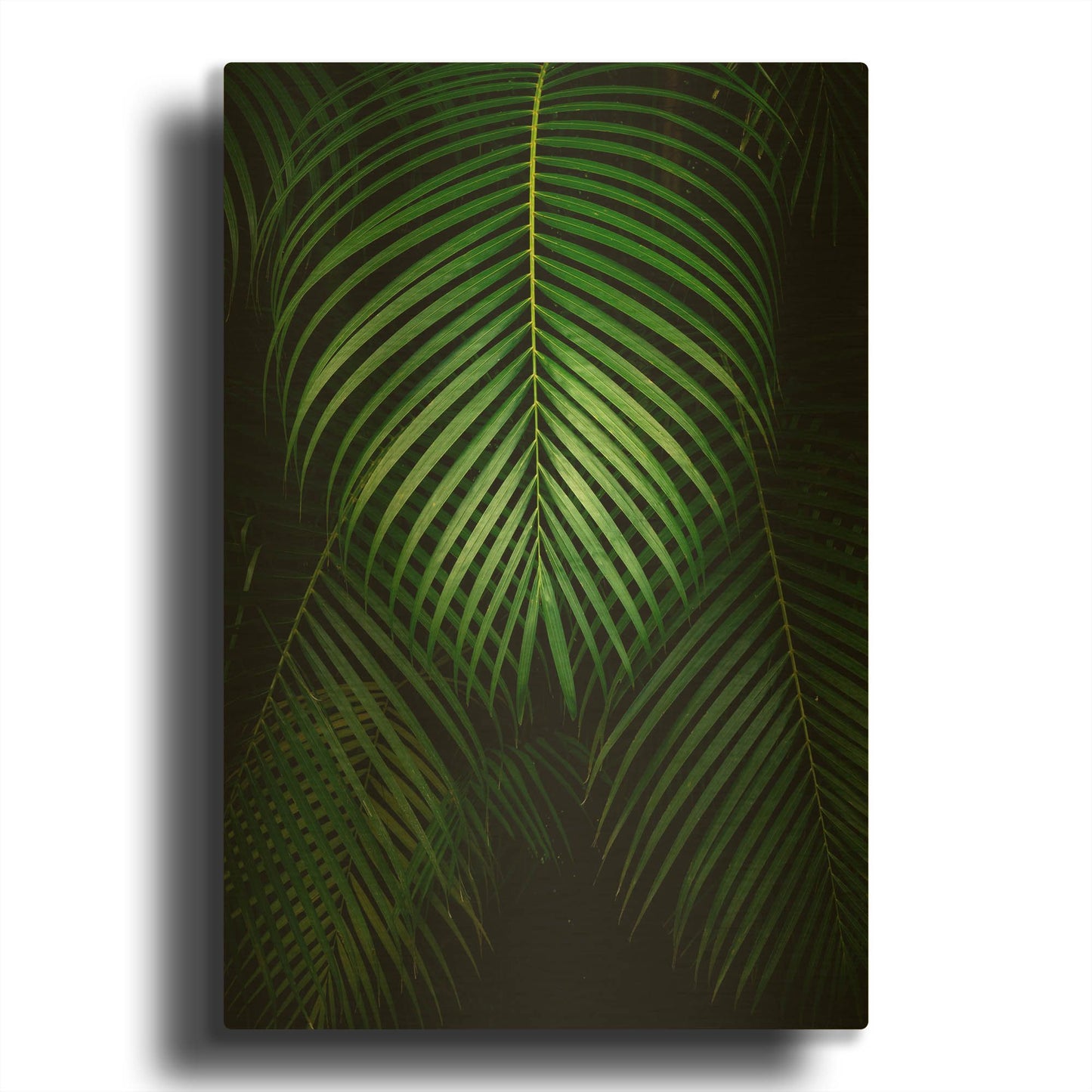'Tropical IV' By Dennis Frates Gold Metal Wall Art