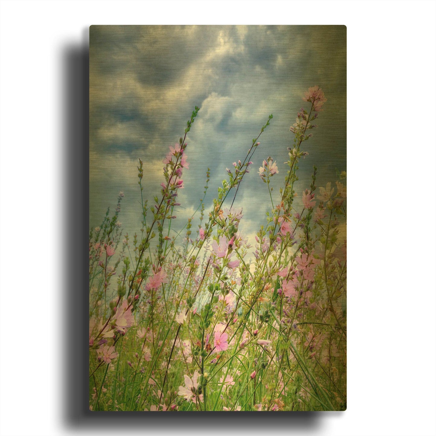 'Wild Flowers' By Dennis Frates Gold Metal Wall Art