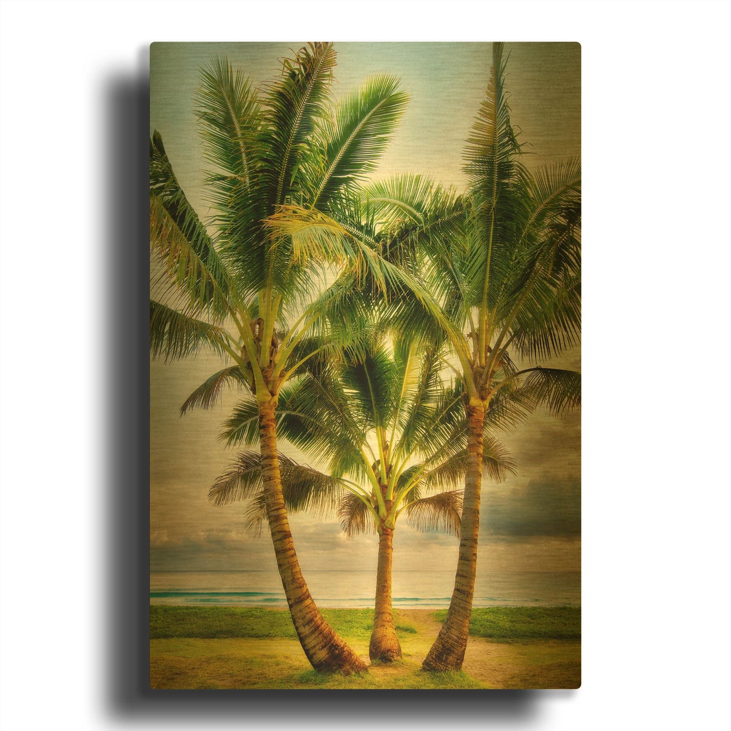 'Triple Palm' By Dennis Frates Gold Metal Wall Art