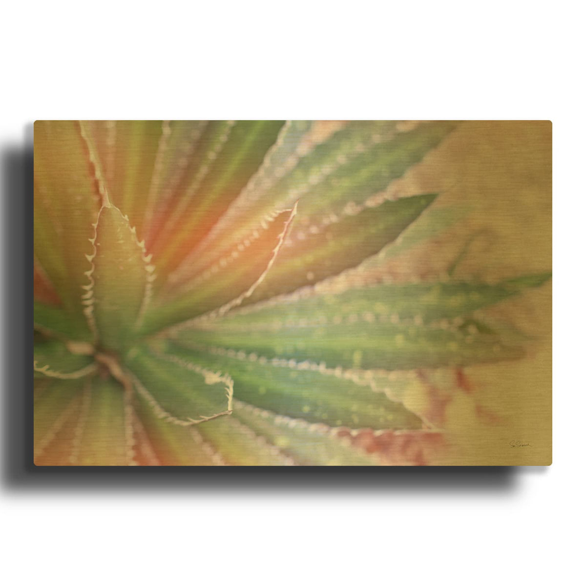 'Dream Desert 1' By Sue Schlabach Gold Metal Wall Art