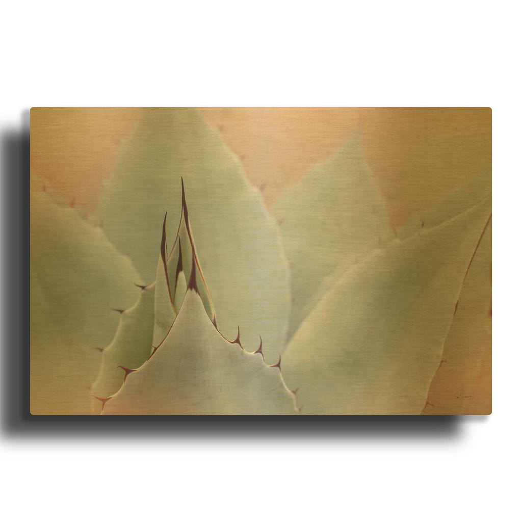 'Dream Desert 5' By Sue Schlabach Gold Metal Wall Art