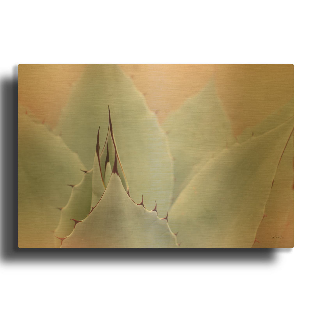 'Dream Desert 5' By Sue Schlabach Gold Metal Wall Art