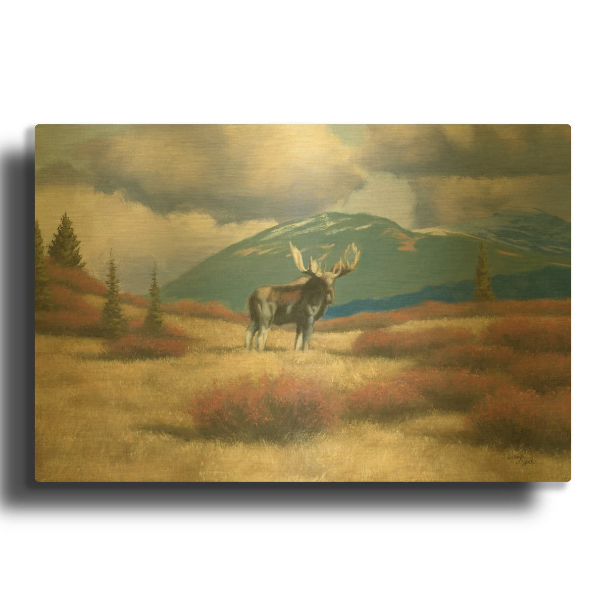 'Northern Moose' By Wellington Studio Gold Metal Wall Art