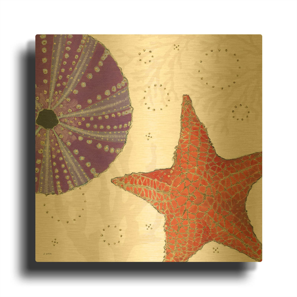 'Shimmering Shells 3' By James Wiens Gold Metal Wall Art