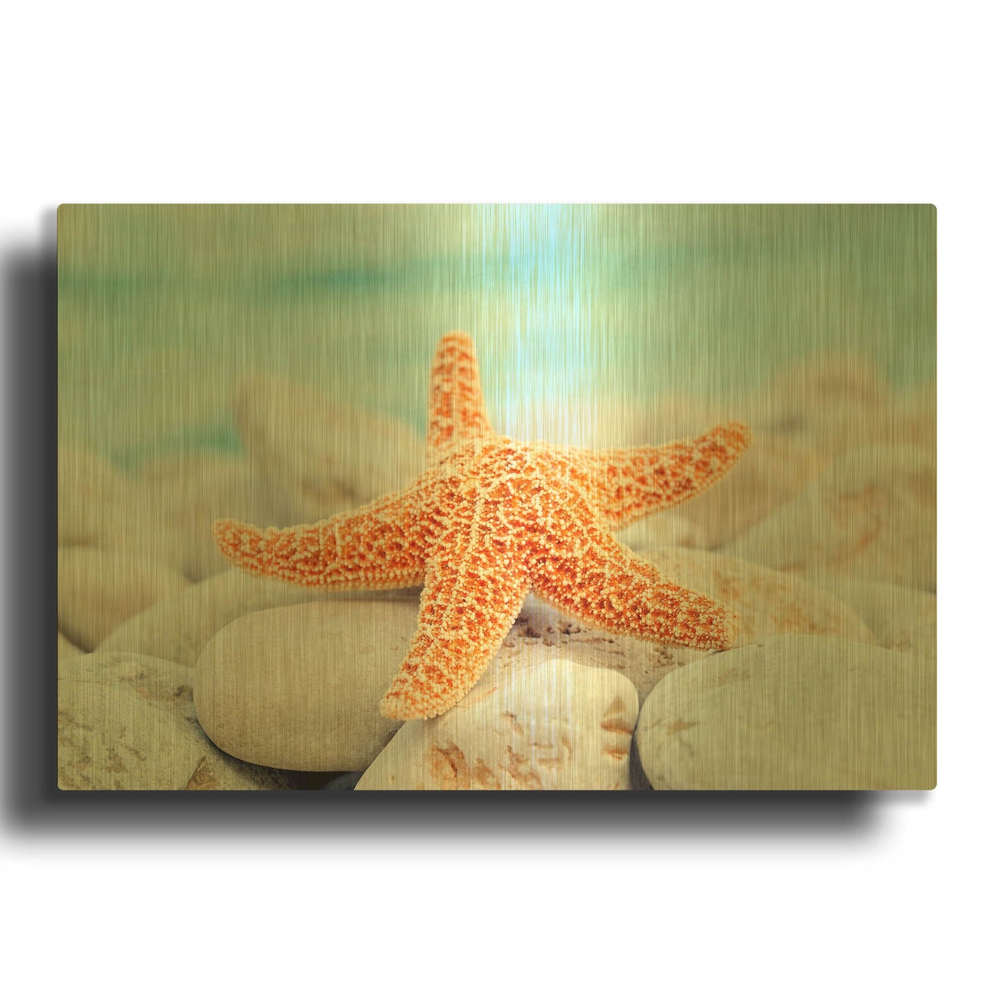 'Sea Star Dreams' By LUXE Gold Metal Wall Art