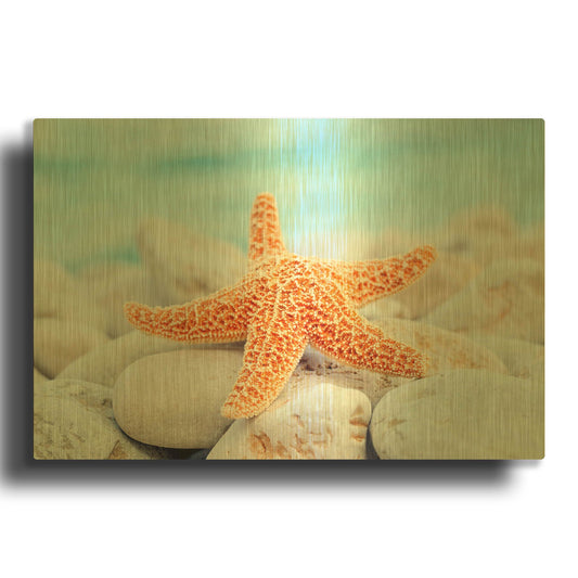 'Sea Star Dreams' By LUXE Gold Metal Wall Art