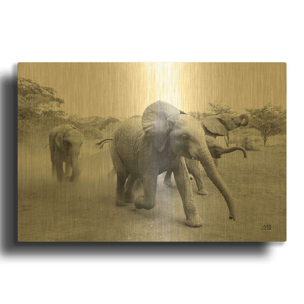 'Elephant Race Bw' By Max Blakesberg Studios Gold Metal Wall Art