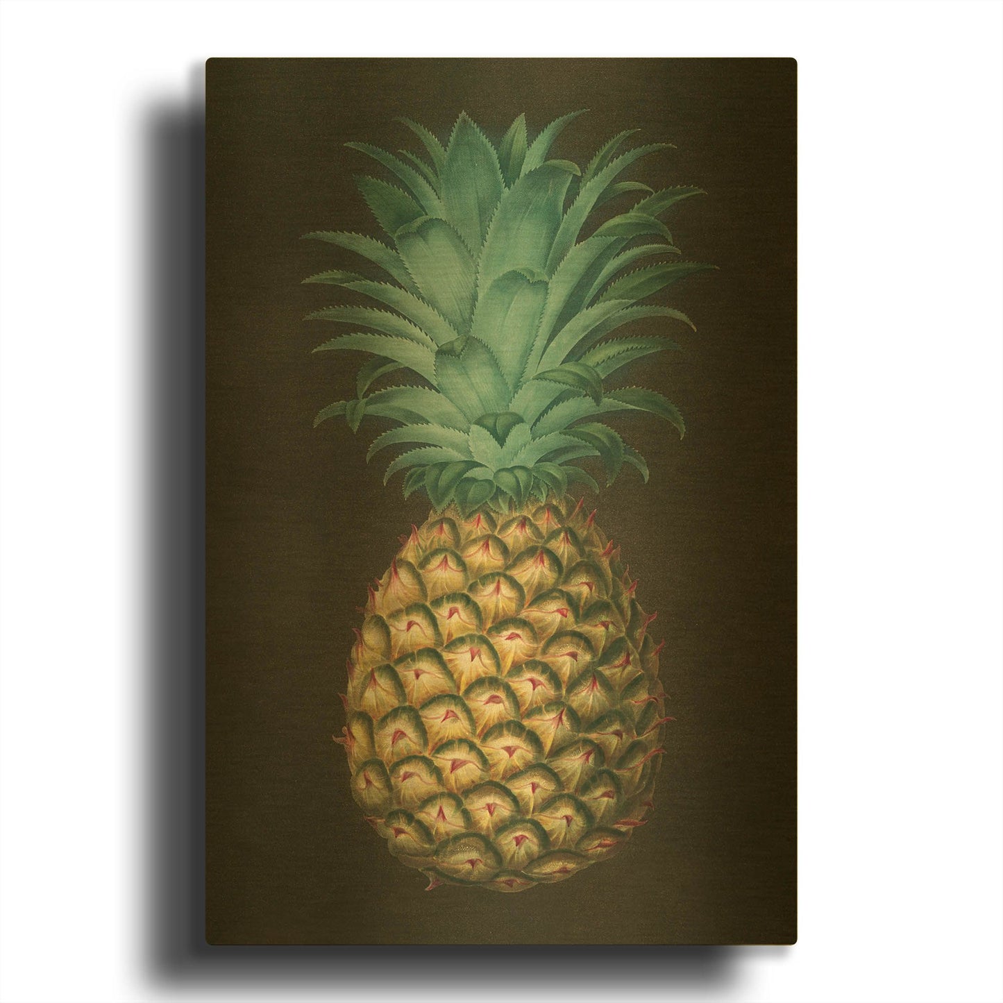 'Vintage Pineapple 1' By Wild Apple Portfolio Gold Metal Wall Art