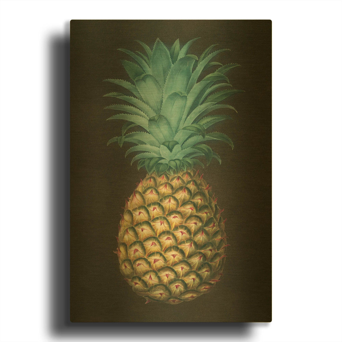 'Vintage Pineapple 1' By Wild Apple Portfolio Gold Metal Wall Art