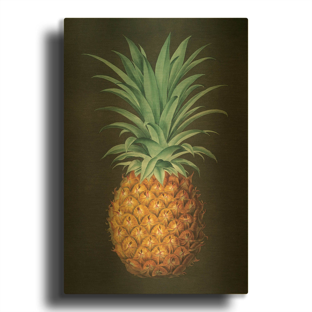 'Vintage Pineapple 2' By Wild Apple Portfolio Gold Metal Wall Art