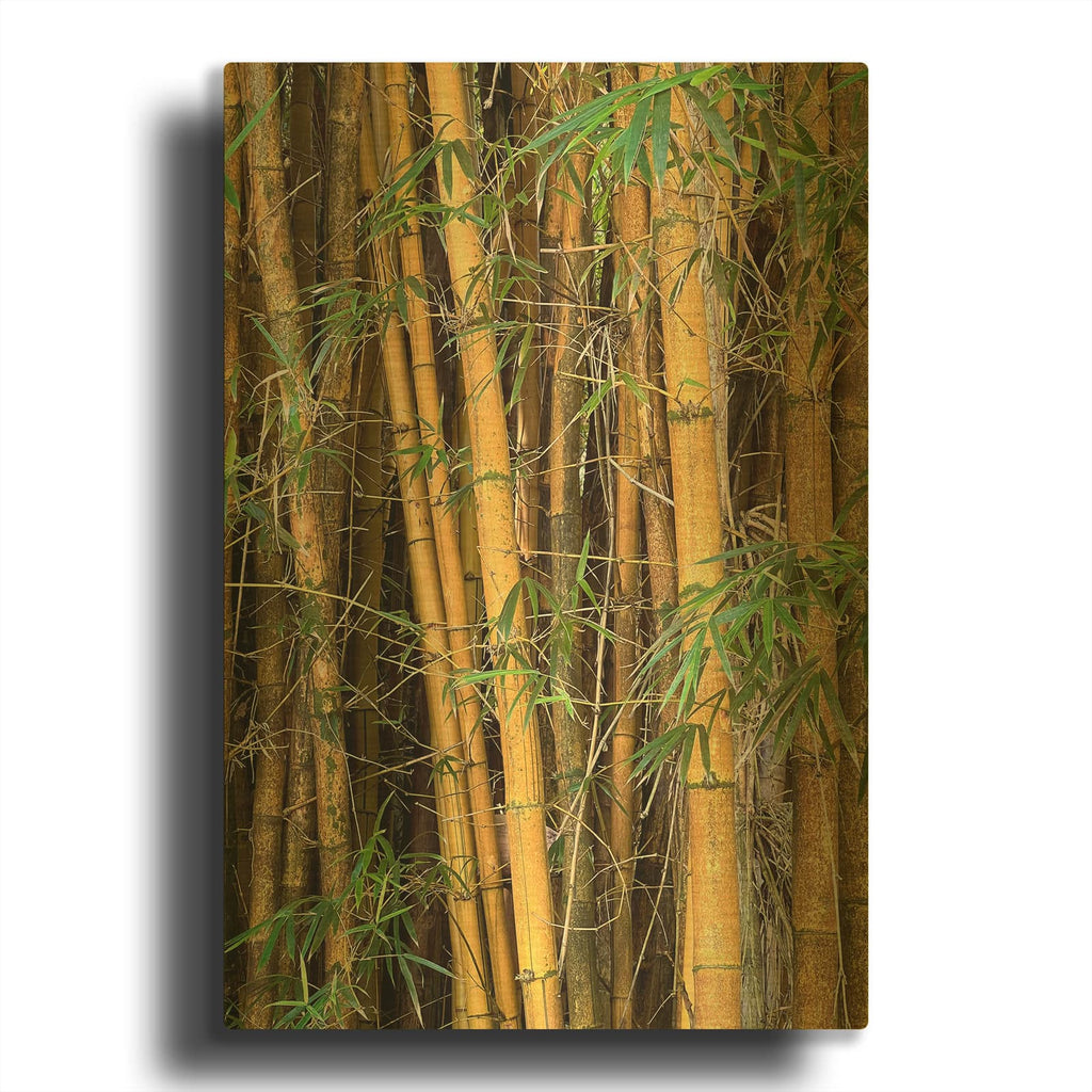'Bamboo Forest' By Nicole Dell Gold Metal Wall Art
