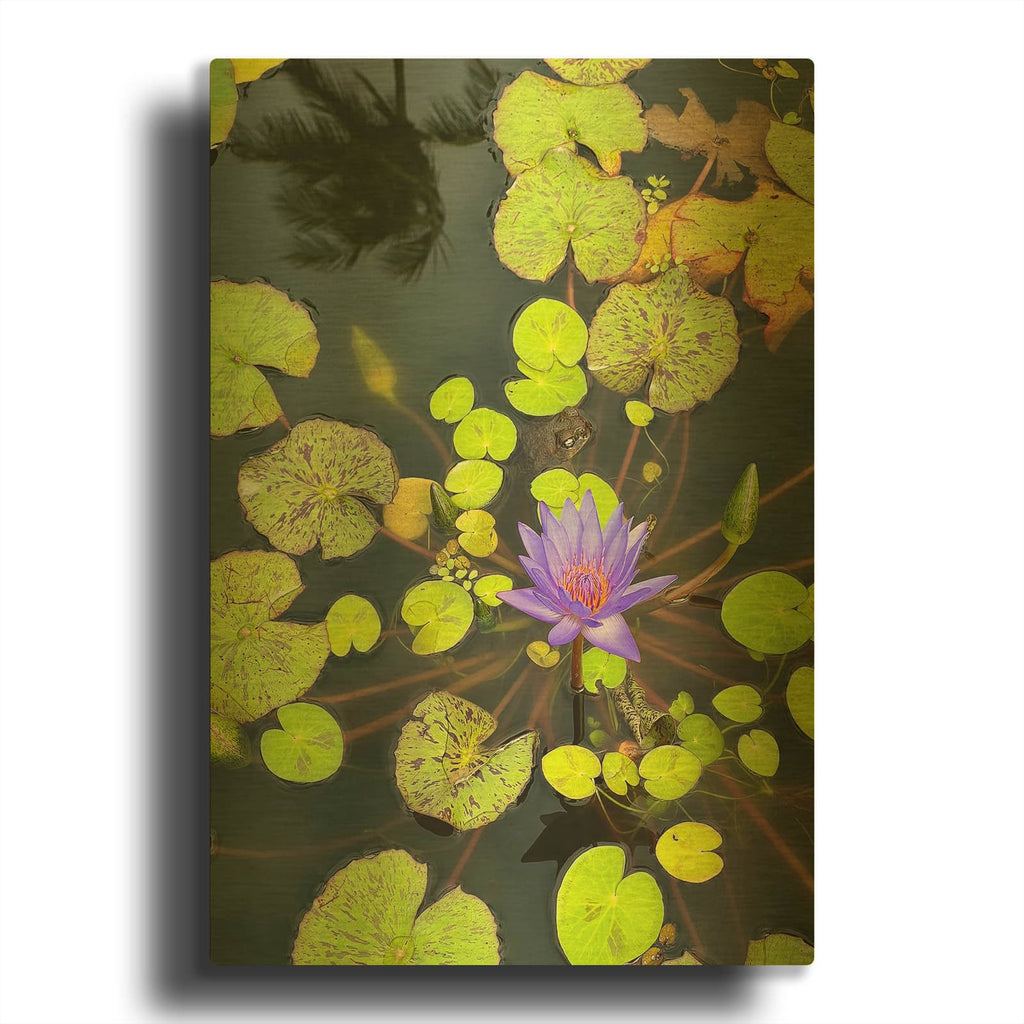 'Hana Reflection Pond with Frog' By Nicole Dell Gold Metal Wall Art