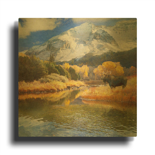 'Moose On Dolores River' By Chris Vest Gold Metal Wall Art