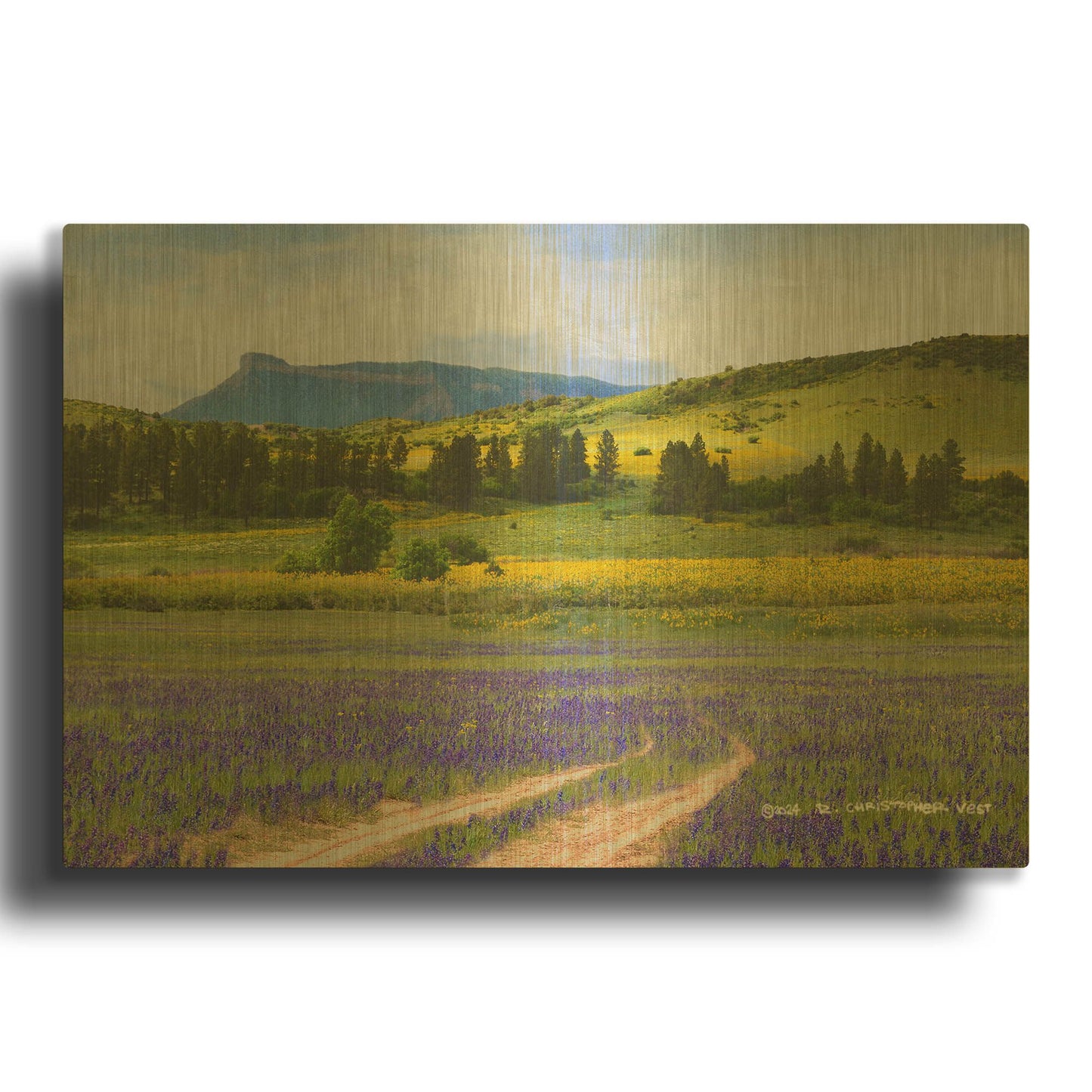 'Superbloom Her' By Chris Vest Gold Metal Wall Art