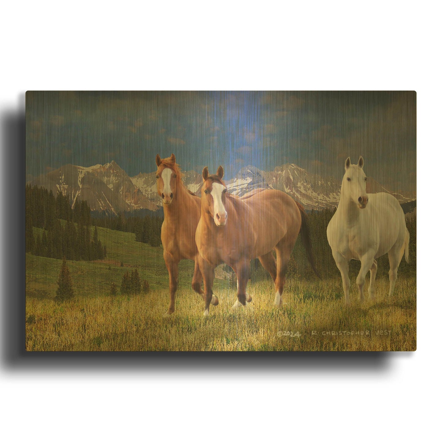 'Three Horses At 53' By Chris Vest Gold Metal Wall Art