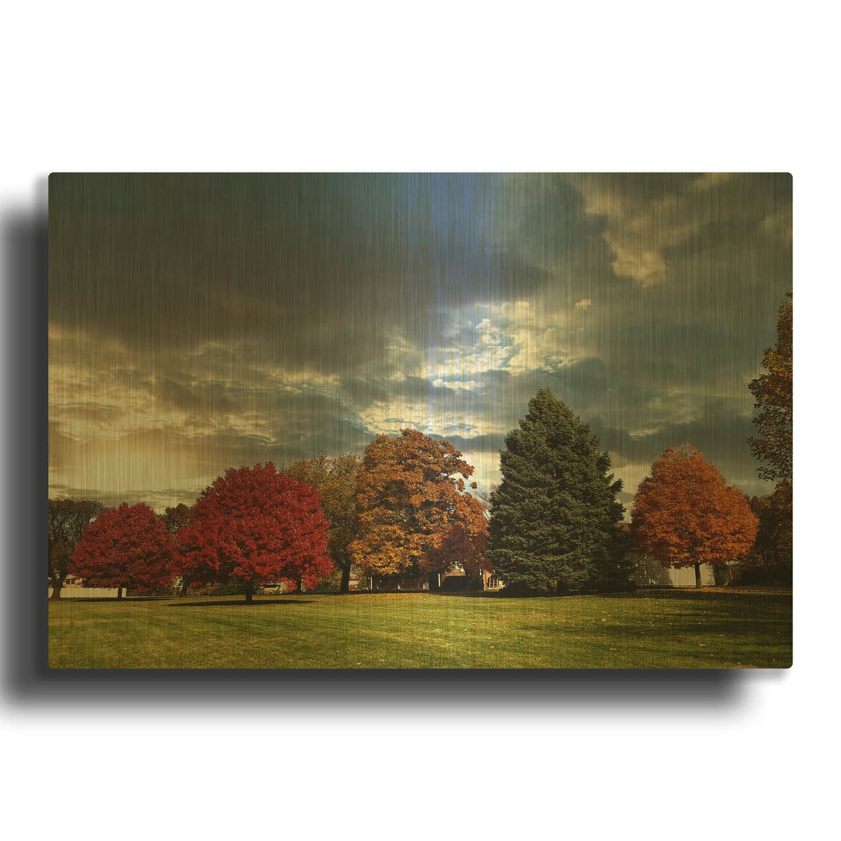 'Autumn Trees' By Dante Plata Gold Metal Wall Art