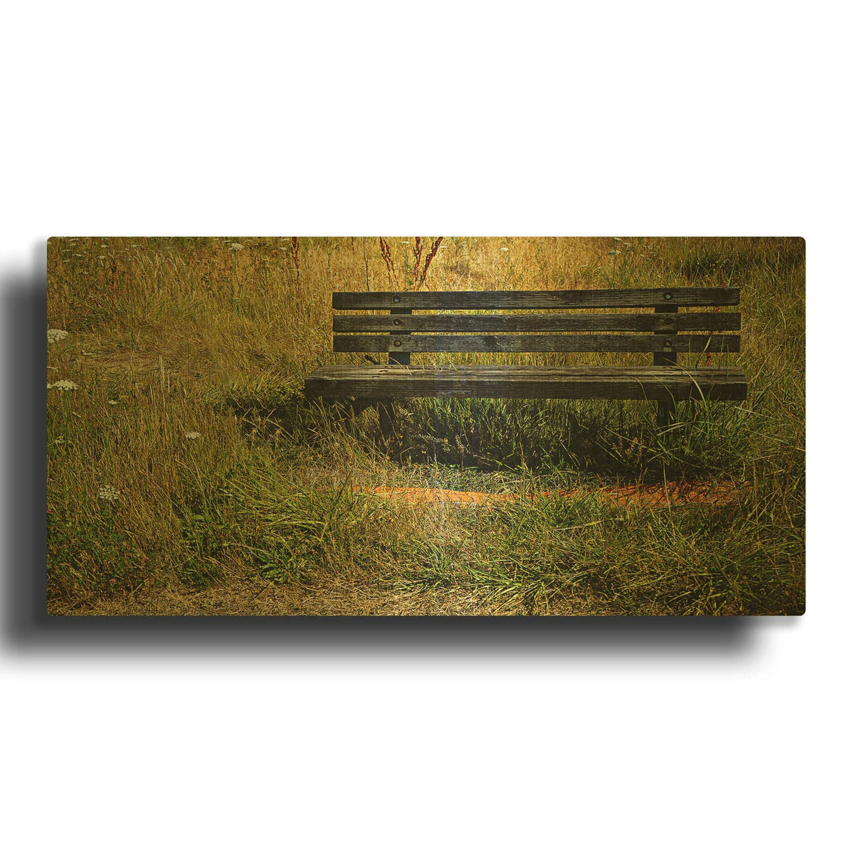 'Forgotten Bench' By Dante Plata Gold Metal Wall Art