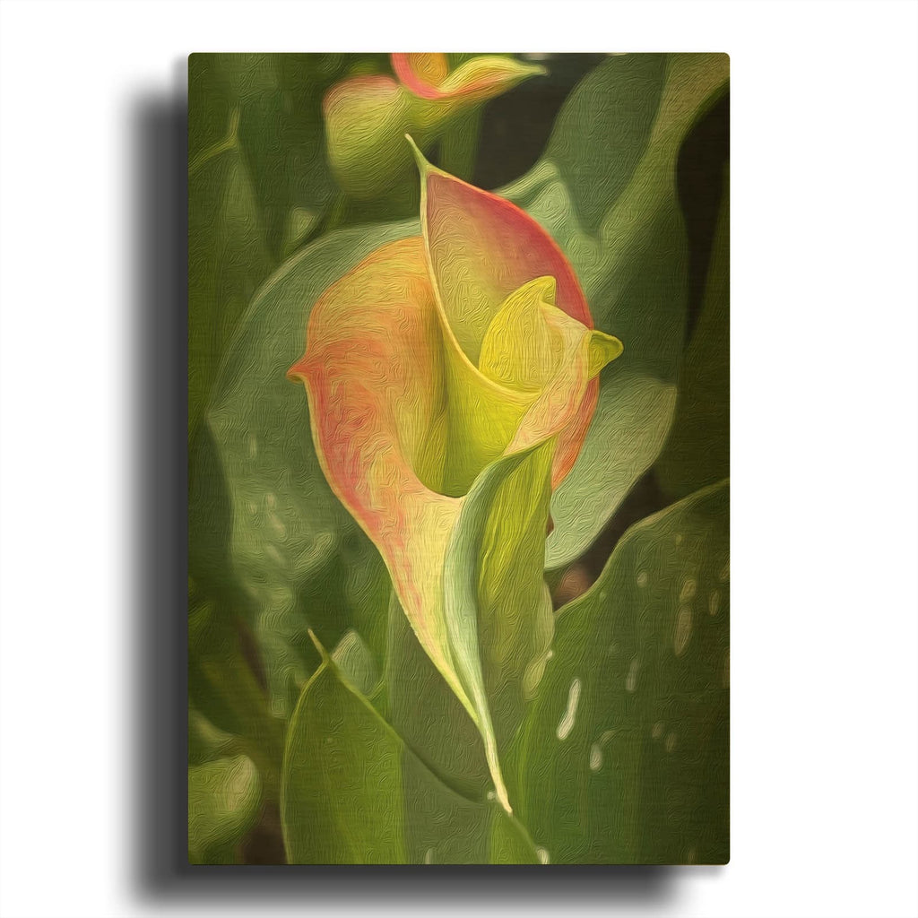 'Pink Calla Lily' By Dante Plata Gold Metal Wall Art