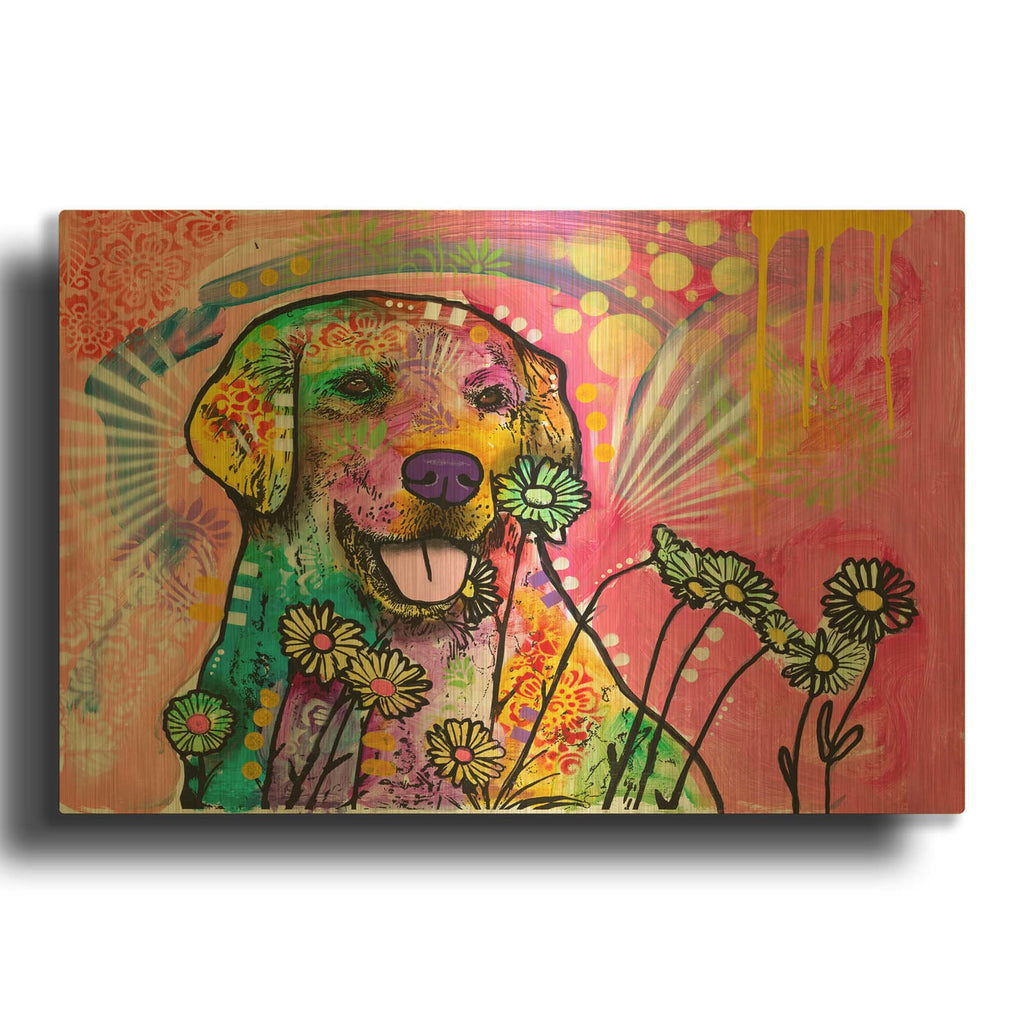 'Daisy Daisy' By Dean Russo Gold Metal Wall Art