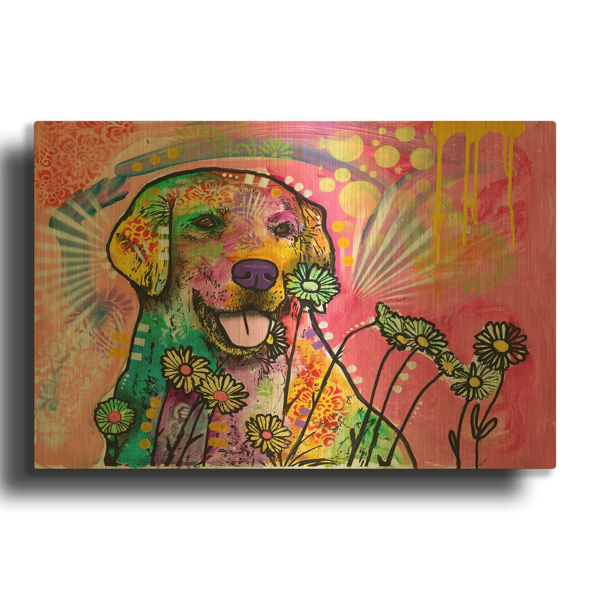 'Daisy Daisy' By Dean Russo Gold Metal Wall Art