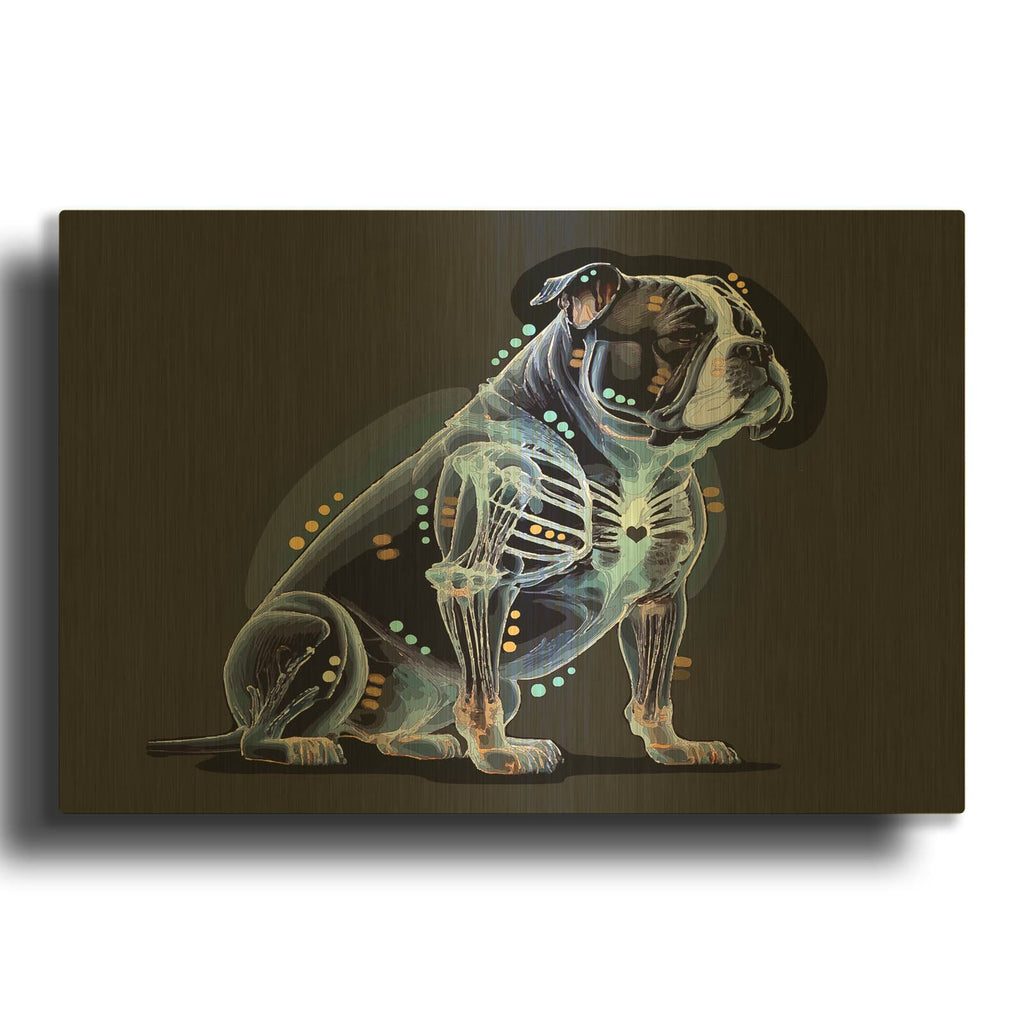 'Xray Bulldog' By Dean Russo Gold Metal Wall Art