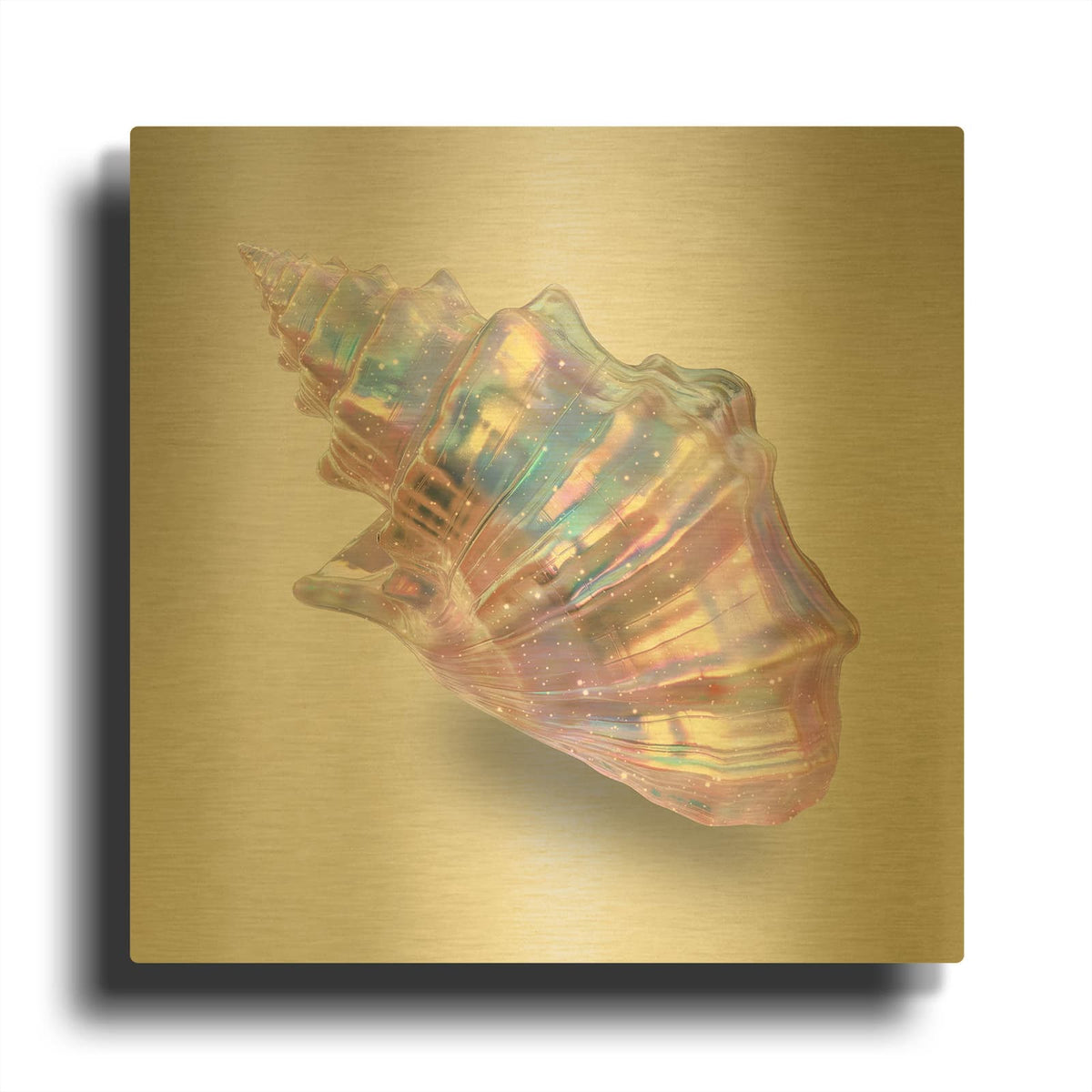 'Shell On Pink' By Svetlana Aleynikova Gold Metal Wall Art