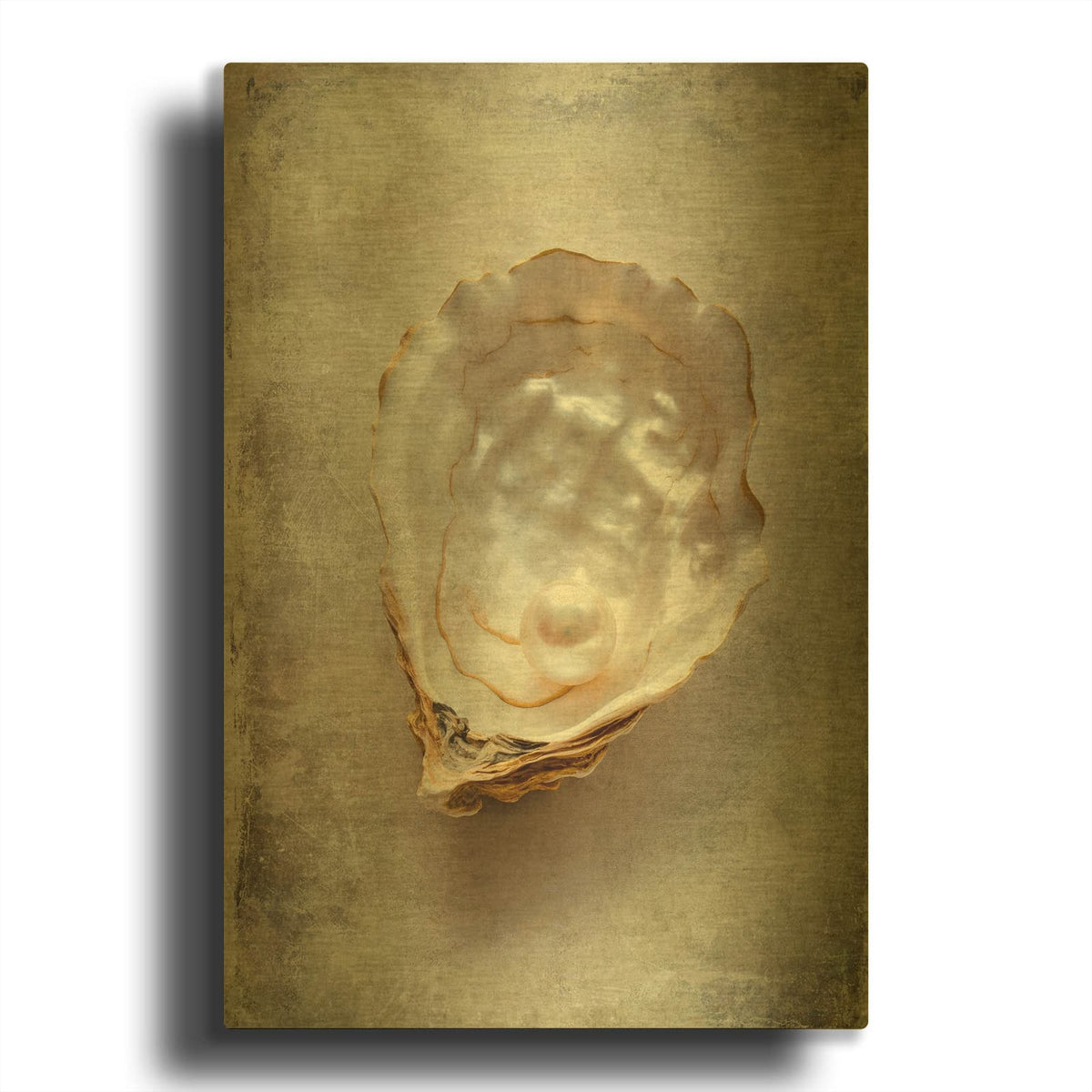 'Vintage Shell' By Svetlana Aleynikova Gold Metal Wall Art