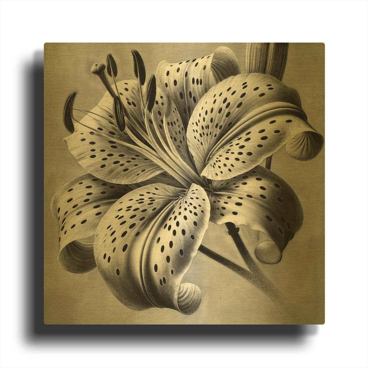 'Tiger Lily Flower' By Rey Klimt Gold Metal Wall Art