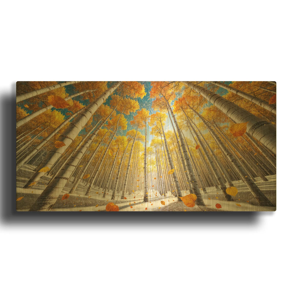 'Aspens In Snow' By Rey Klimt Gold Metal Wall Art
