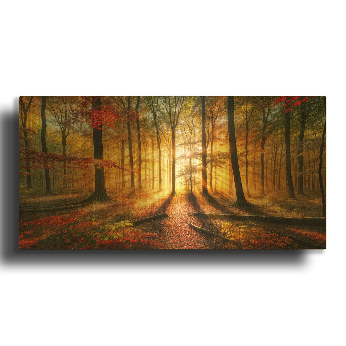 'Sunrise In Fall Forest' By Rey Klimt Gold Metal Wall Art