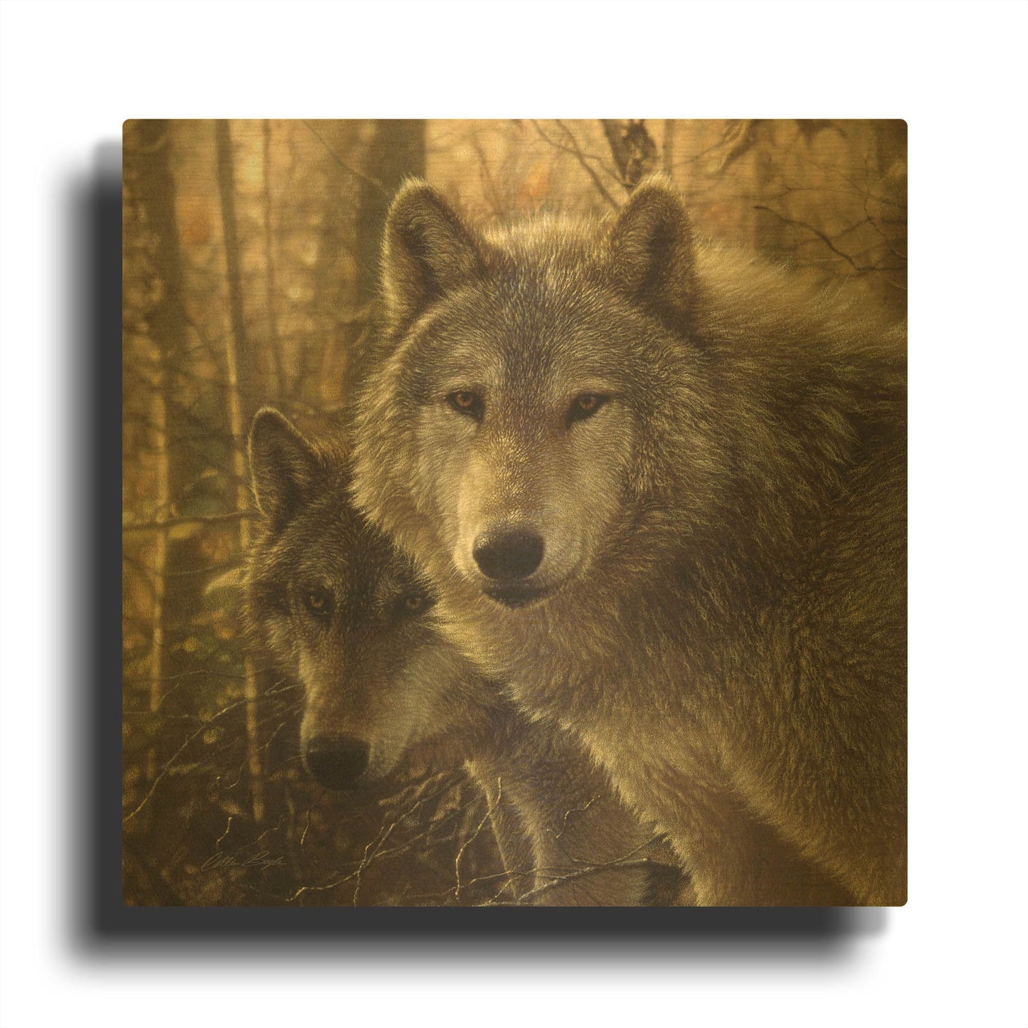 'Wood Land Companions' By Collin Bogle Gold Metal Wall Art