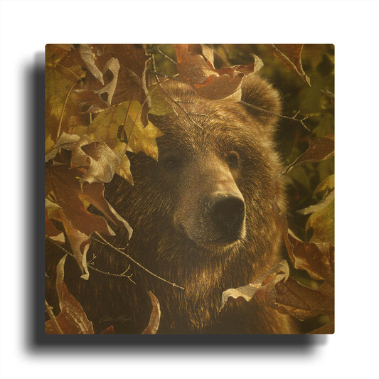 'Legend Of The Fall' By Collin Bogle Gold Metal Wall Art