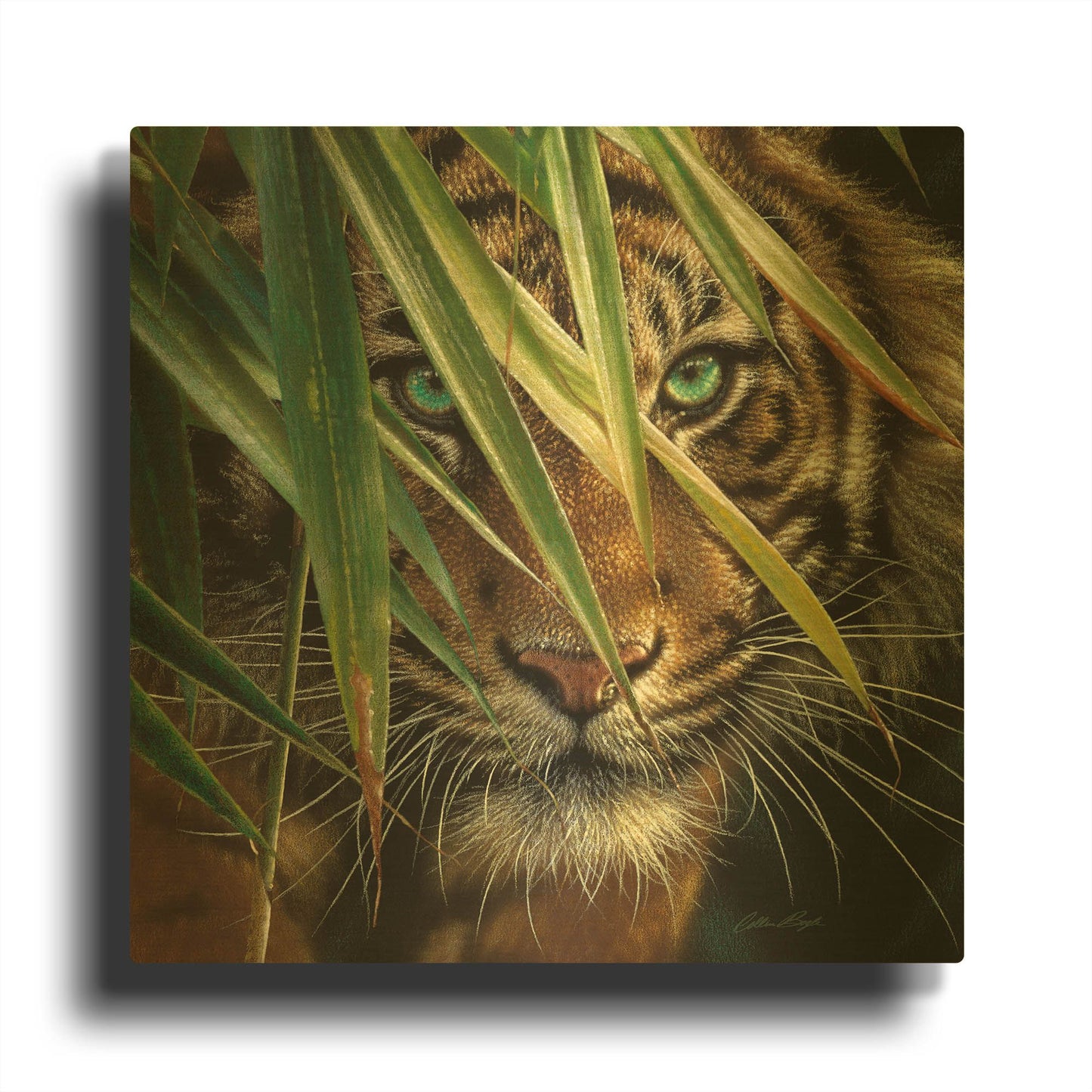 'Tiger Eyes' By Collin Bogle Gold Metal Wall Art