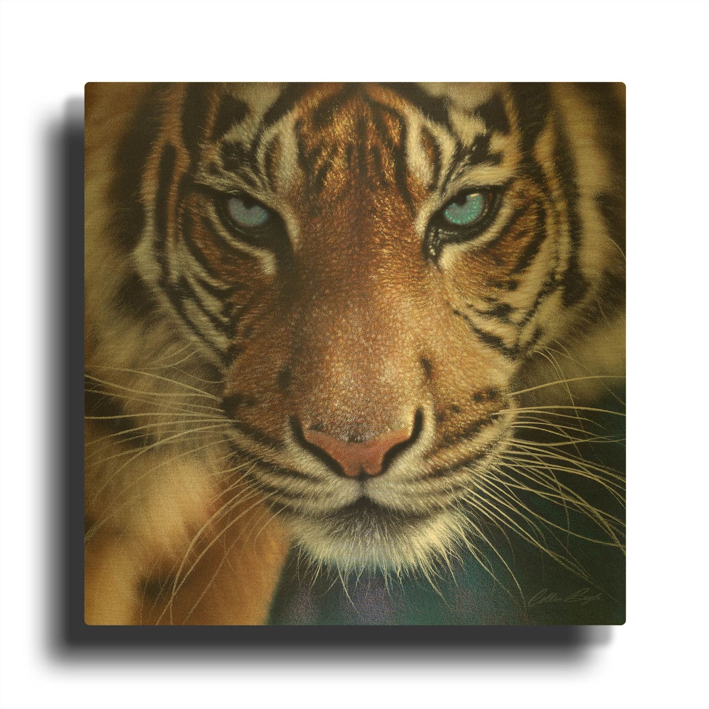 'Blue Eyes' By Collin Bogle Gold Metal Wall Art