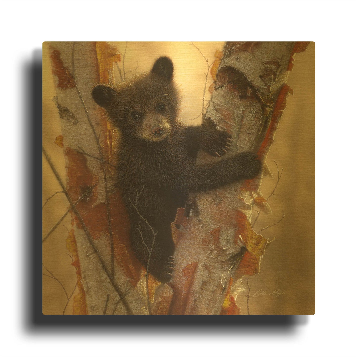 'Curious Cub I' By Collin Bogle Gold Metal Wall Art