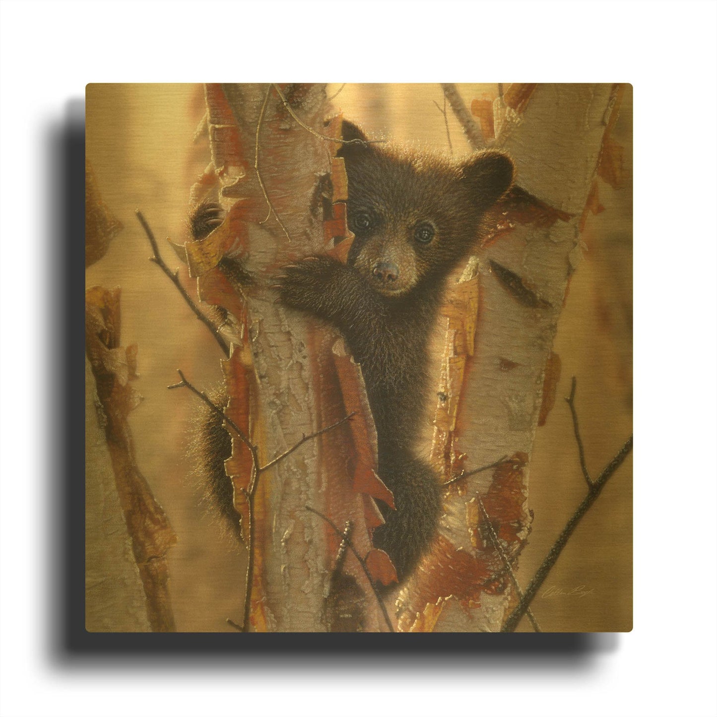 'Curious Cub II' By Collin Bogle Gold Metal Wall Art