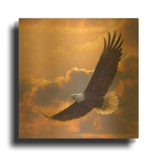 'Soaring Spirit' By Collin Bogle Gold Metal Wall Art