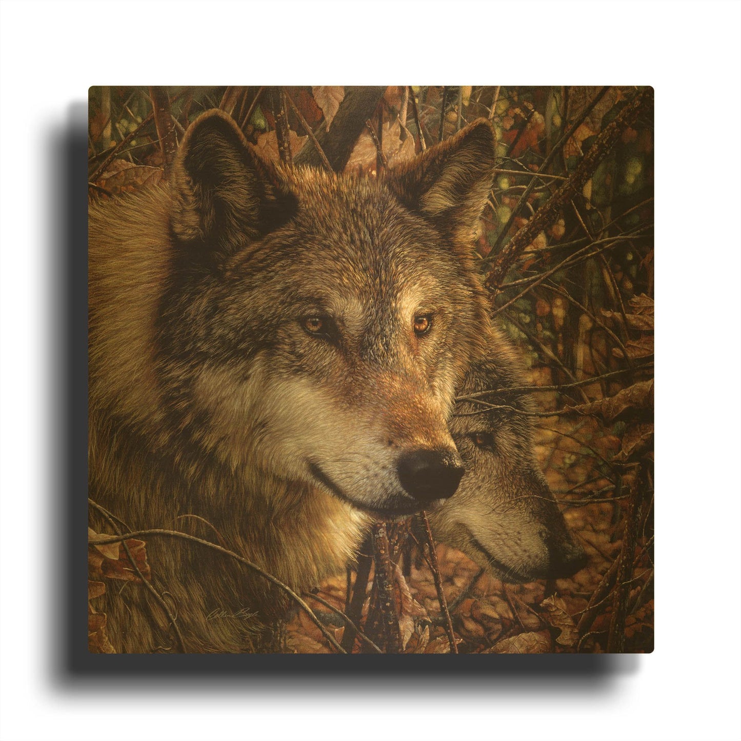 'Colors of Autumn' By Collin Bogle Gold Metal Wall Art
