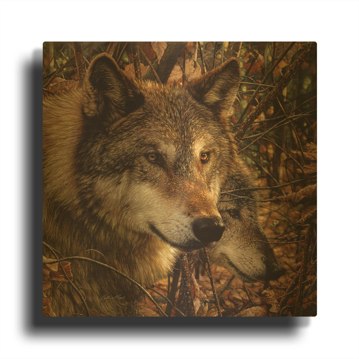 'Colors of Autumn' By Collin Bogle Gold Metal Wall Art