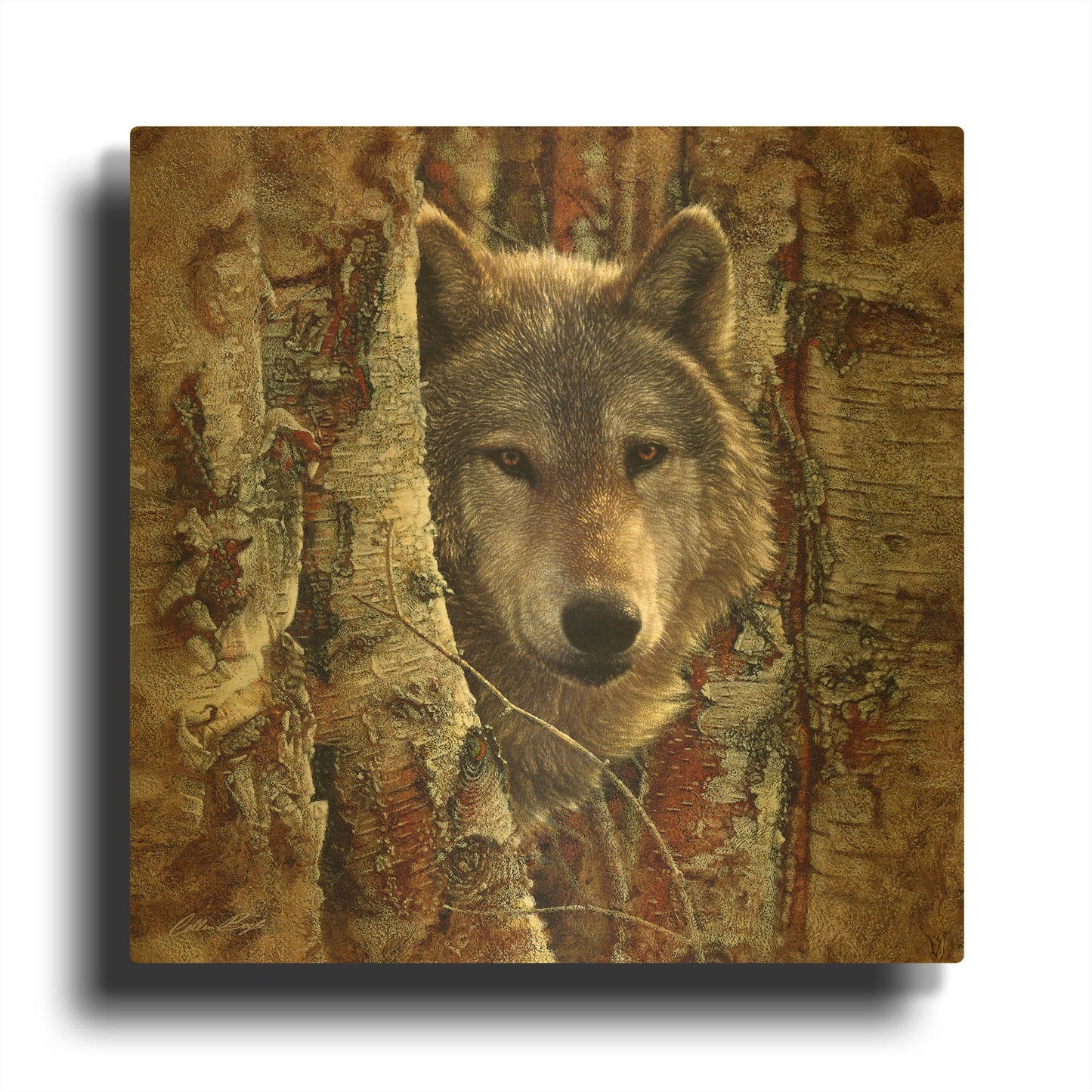 'Wolf Spirit' By Collin Bogle Gold Metal Wall Art