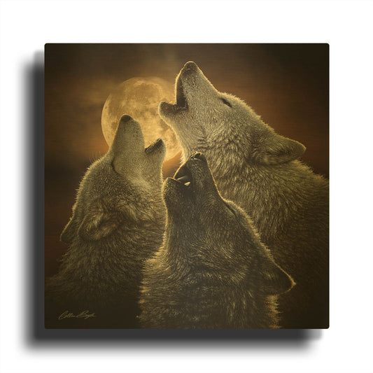 'Wolf Trinity' By Collin Bogle Gold Metal Wall Art