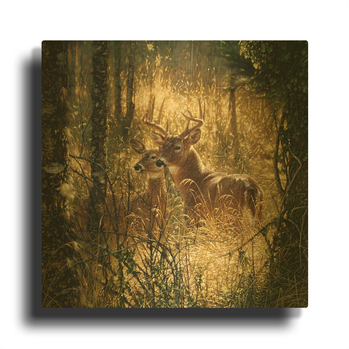 'A Golden Moment' By Collin Bogle Gold Metal Wall Art