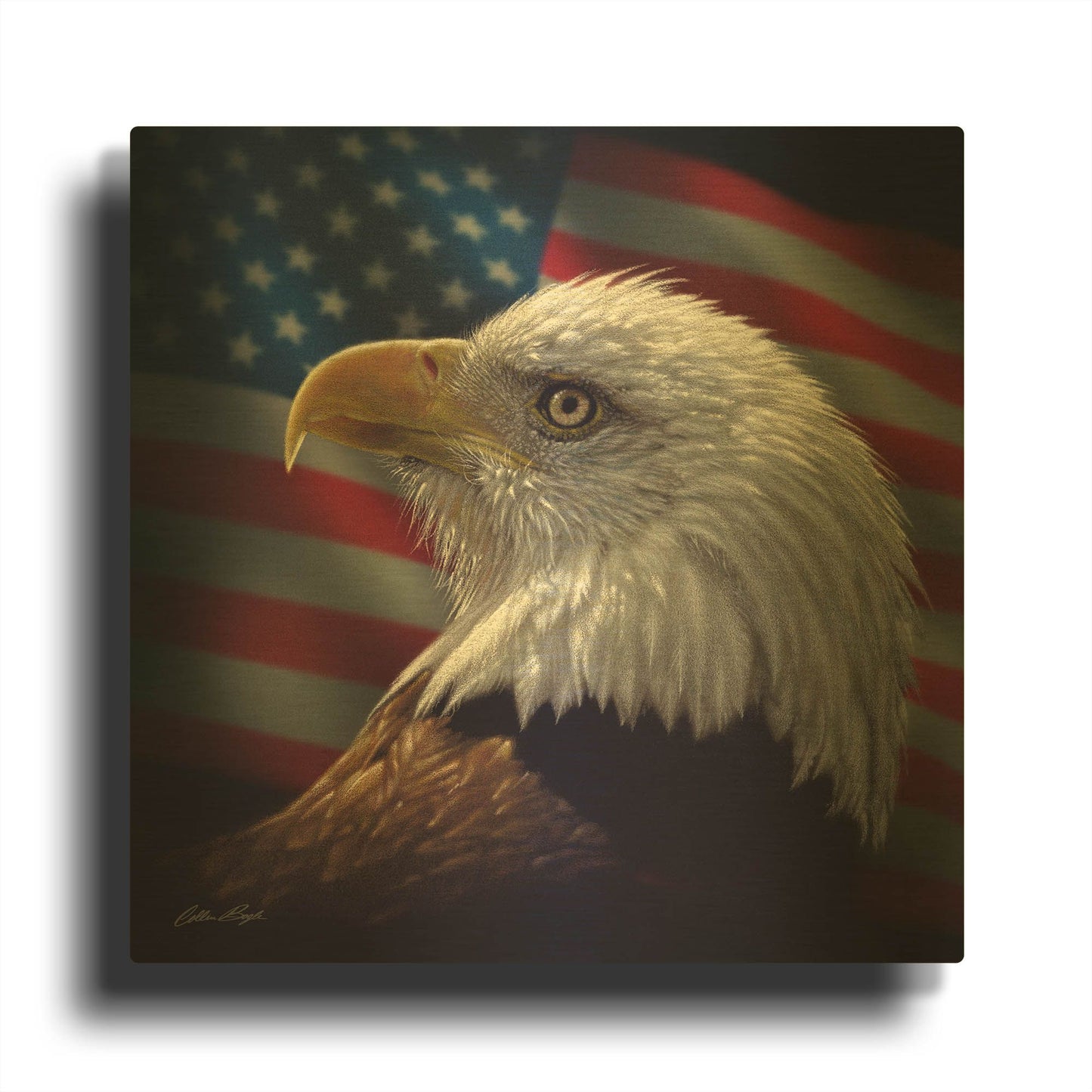'American Bald Eagle' By Collin Bogle Gold Metal Wall Art