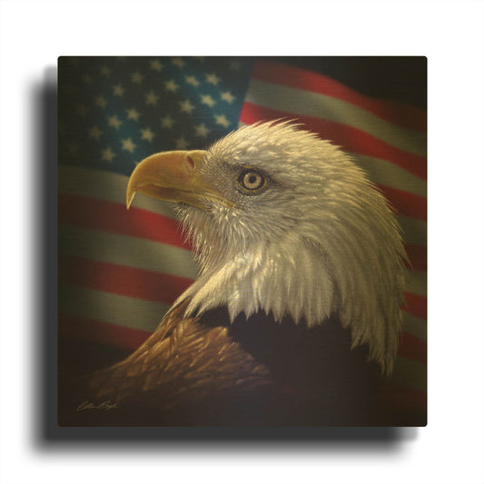'American Bald Eagle' By Collin Bogle Gold Metal Wall Art